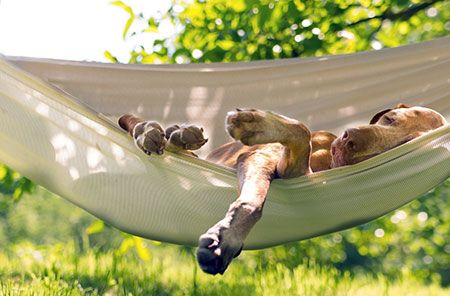 Hammock Nap - Hammock Heaven Luxury Hammocks